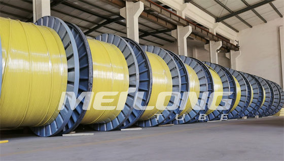 UNS S32750 Jalur Kontrol Terenkapsulasi Super Duplex 2507 Rilsan Nylon