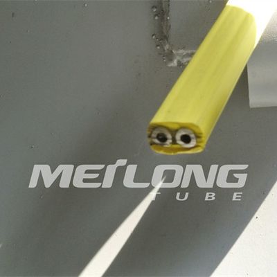 TP316L PVDF Jalur Kontrol Terenkapsulasi Flatpack Dengan Dua Tabung Tekanan Tinggi